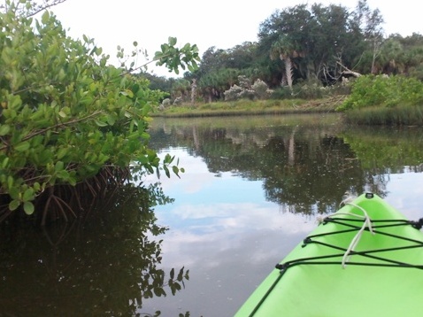 Paddling on Terra Ceia