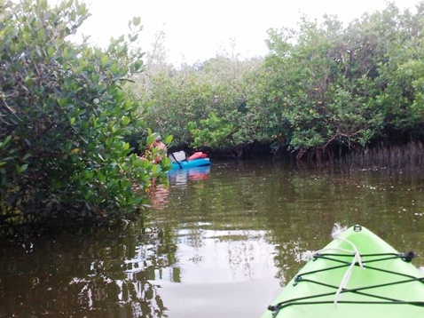 Paddling on Terra Ceia