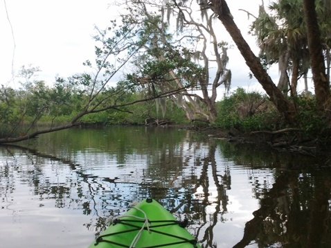 Paddling on Terra Ceia