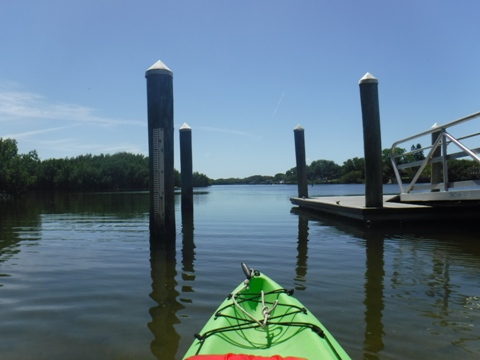 Paddle Weedon Island