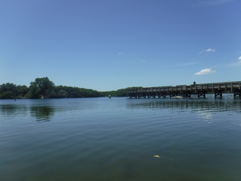 Paddle Weedon Island