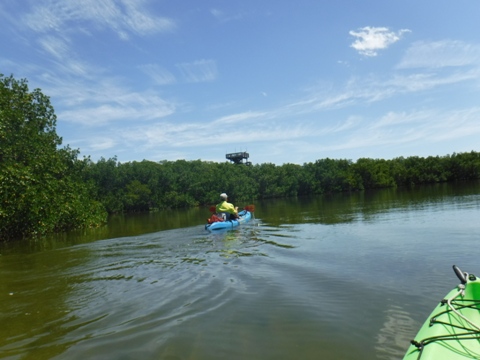 Paddle Weedon Island