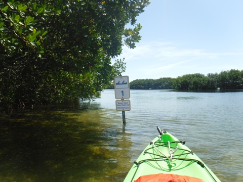 Paddle Weedon Island