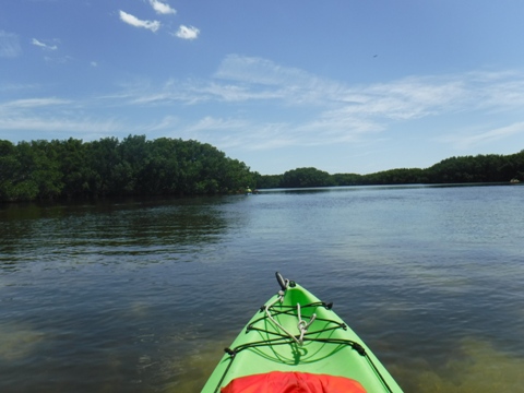 Paddle Weedon Island