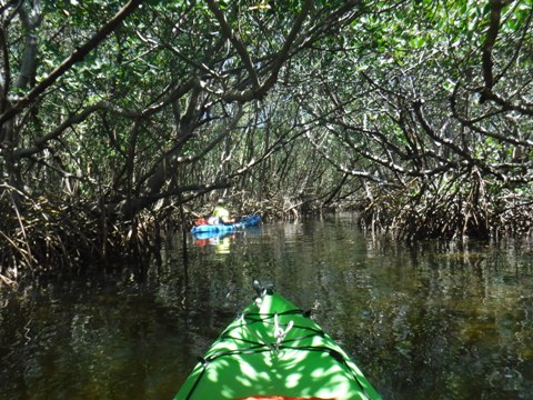 Paddle Weedon Island