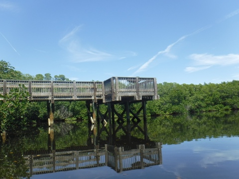 Paddle Weedon Island