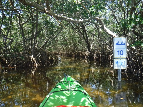 Paddle Weedon Island