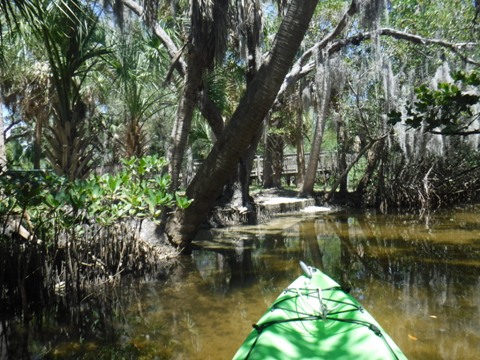 Paddle Weedon Island