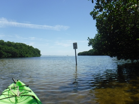 Paddle Weedon Island