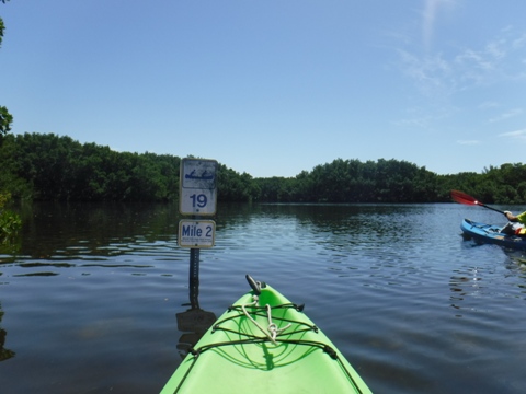 Paddle Weedon Island