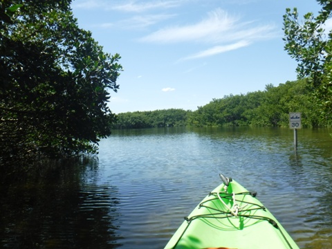 Paddle Weedon Island