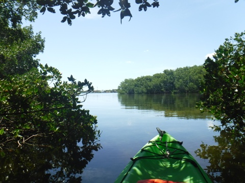 Paddle Weedon Island