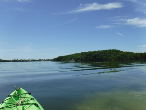 Paddle Weedon Island