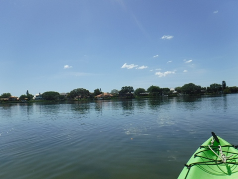 Paddle Weedon Island