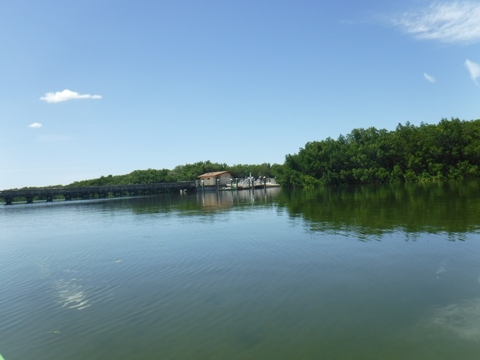 Paddle Weedon Island