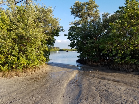 Paddle Weedon Island