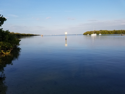 Paddle Weedon Island