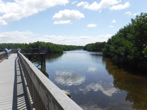 Paddle Weedon Island