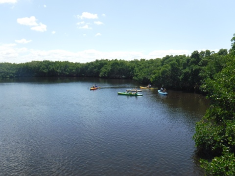 Paddle Weedon Island