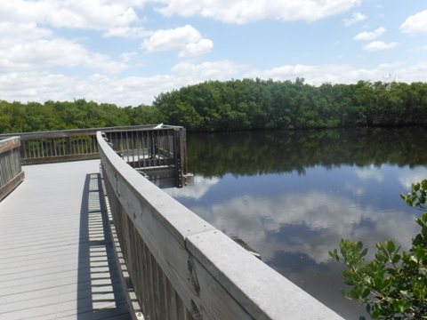 Paddle Weedon Island