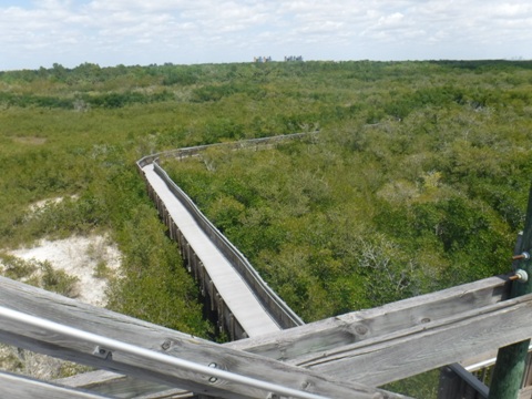 Paddle Weedon Island