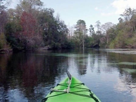 Paddle Weeki Wachee, West-Central Florida