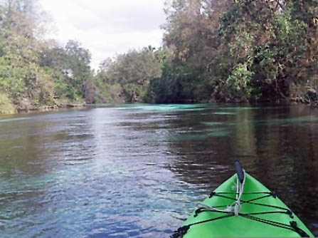 Paddle Weeki Wachee River