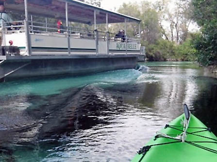 Paddle Weeki Wachee River