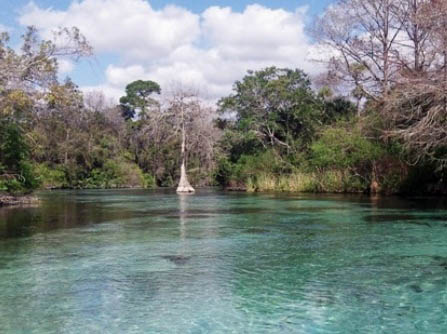 Paddle Weeki Wachee River