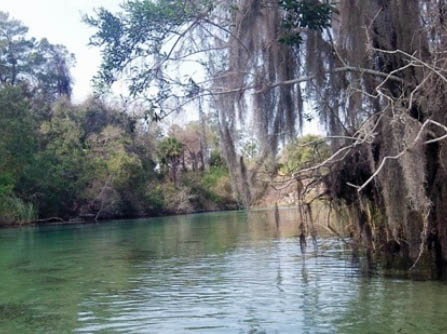 Paddle Weeki Wachee River