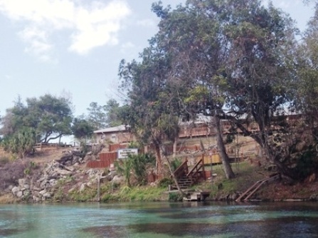 Paddle Weeki Wachee River