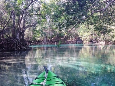 Paddle Weeki Wachee River