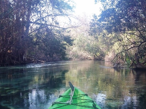 Paddle Weeki Wachee River
