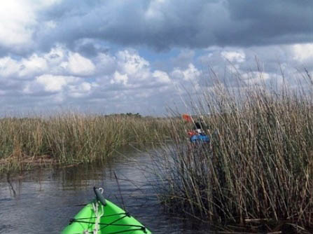 Paddle Weeki Wachee River