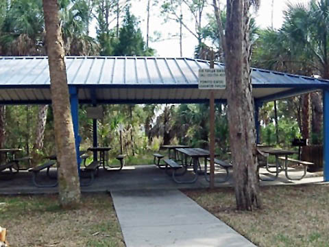 Paddle Weeki Wachee River