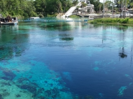 Weeki Wachee Springs State Park