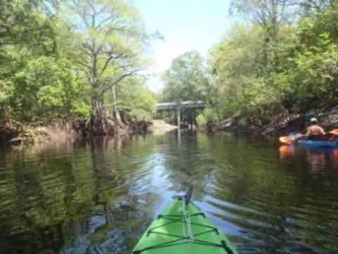 Paddle Withlacoochee River-south, Lacoochee