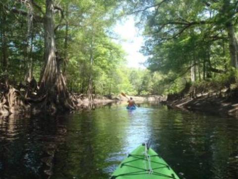 Paddle Withlacoochee River-south, Lacoochee