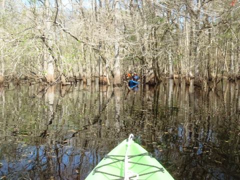 Paddle Withlacoochee River, Silver Lake