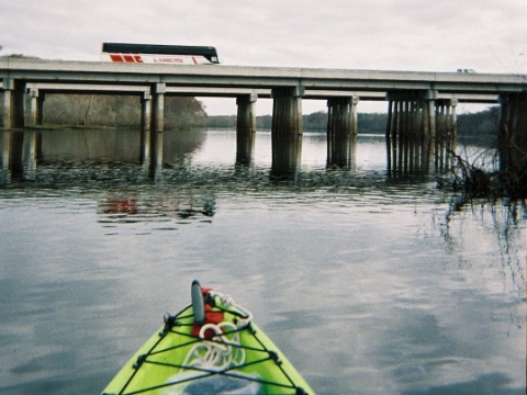 Paddle Withlacoochee River, Silver Lake