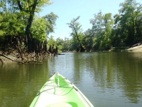 Paddle Withlacoochee River, Silver Lake