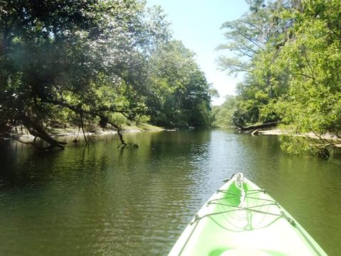 Paddle Withlacoochee River, Silver Lake