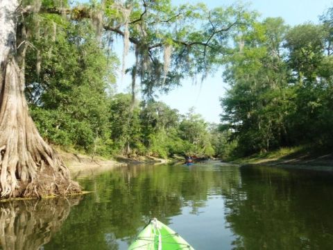 Paddle Withlacoochee River, Silver Lake