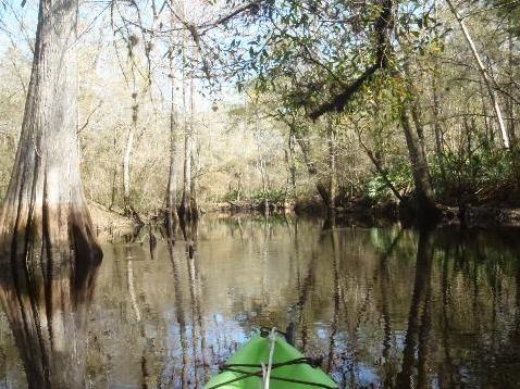 Paddle Withlacoochee River, Little Withlacoochee