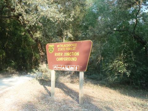 Paddle Withlacoochee River, Little Withlacoochee