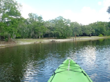 Paddle Withlacoochee River, Iron Bridge