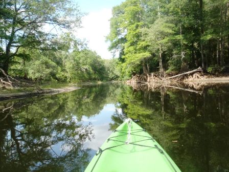 Paddle Withlacoochee River, Iron Bridge