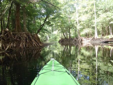 Paddle Withlacoochee River, Iron Bridge