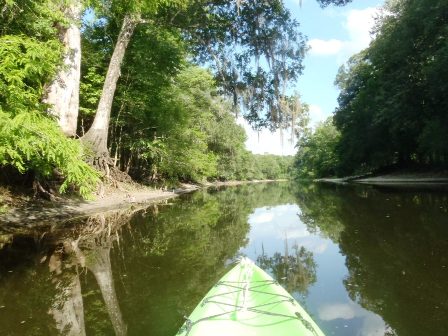 Paddle Withlacoochee River, Iron Bridge