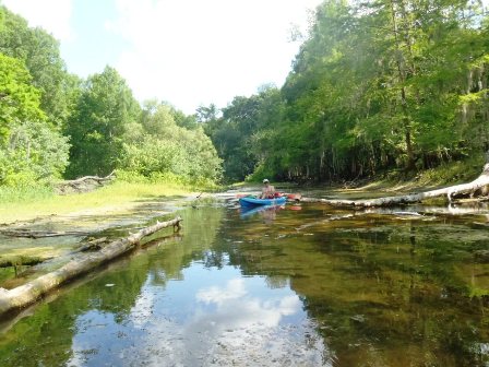 Paddle Withlacoochee River, Iron Bridge